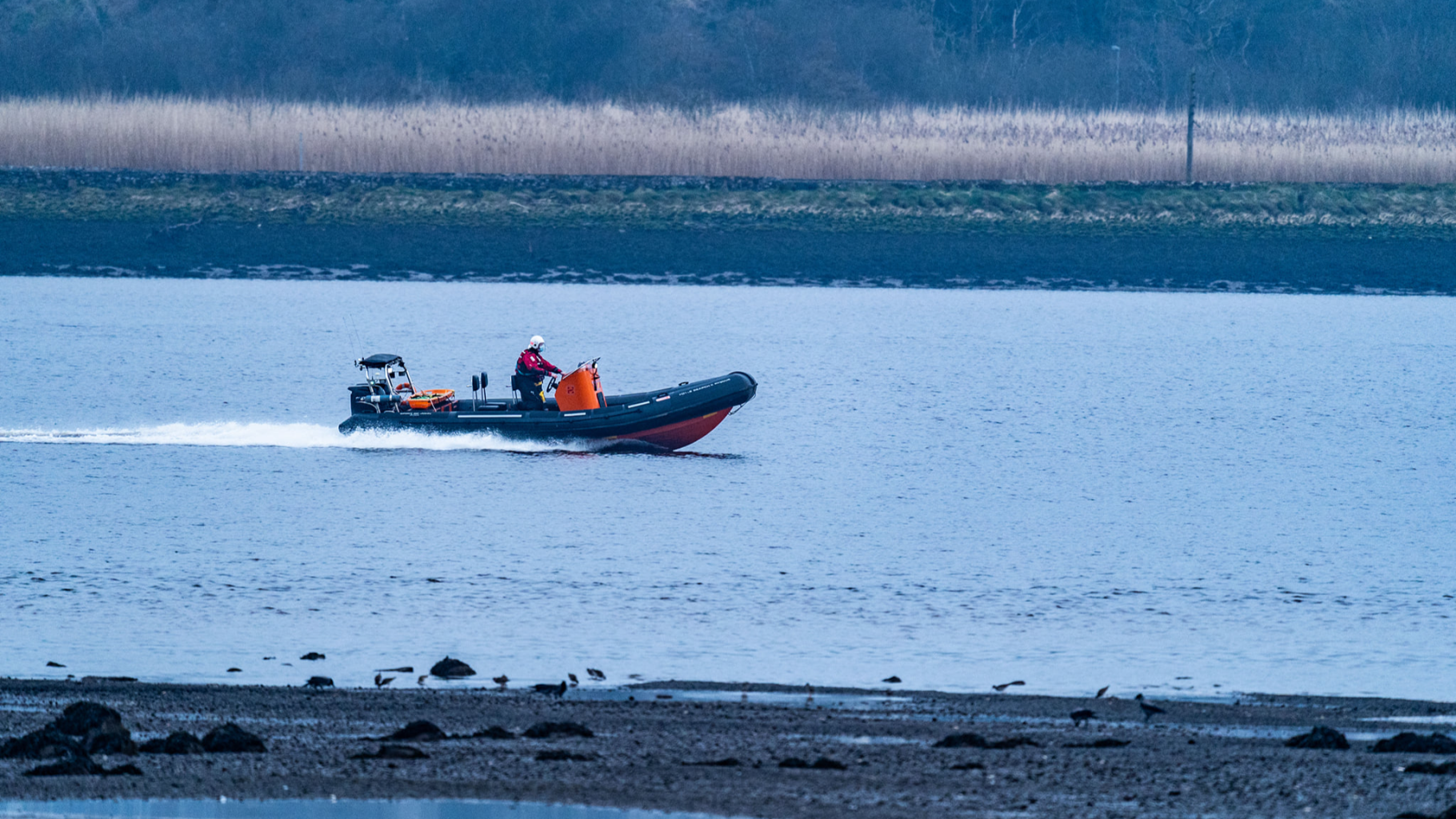 GoodHub Jumping for all jack's